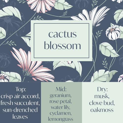 Flambé Cactus Blossom - Humidifier Oil - 60ml